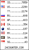 visitors by country counter