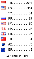 visitors by country counter