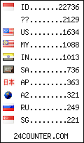 visitors by country counter