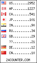 visitors by country counter