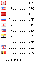visitors by country counter
