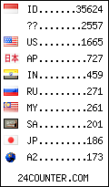 visitors by country counter