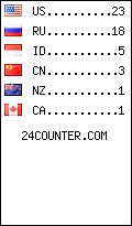 visitors by country counter
