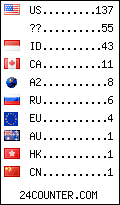 visitors by country counter