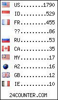 visitors by country counter