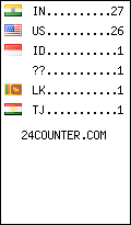 visitors by country counter