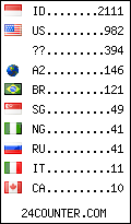 visitors by country counter