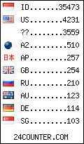 visitors by country counter