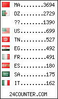 visitors by country counter