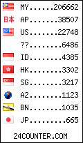 visitors by country counter