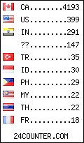 visitors by country counter