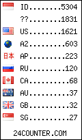 visitors by country counter