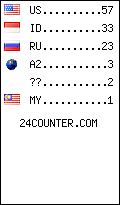 visitors by country counter