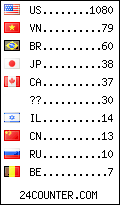 visitors by country counter