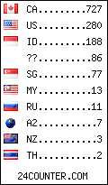 visitors by country counter