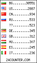 visitors by country counter