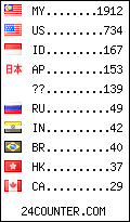 visitors by country counter