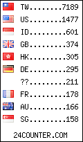 visitors by country counter