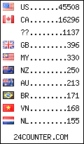 visitors by country counter