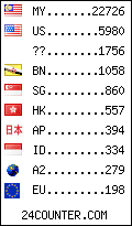 visitors by country counter