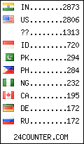 visitors by country counter