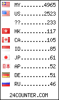 visitors by country counter