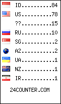 visitors by country counter