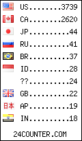 visitors by country counter