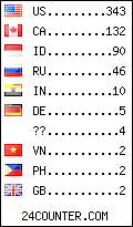 visitors by country counter