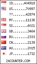 visitors by country counter