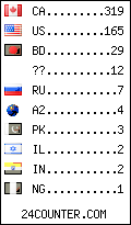 visitors by country counter