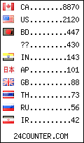 visitors by country counter