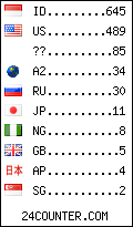 visitors by country counter