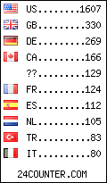 visitors by country counter