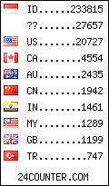 visitors by country counter