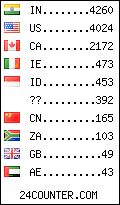 visitors by country counter