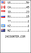 visitors by country counter