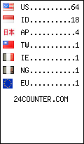 visitors by country counter