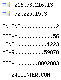 Online visitors stats with hit counter