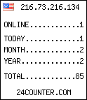 web counter
