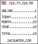 web counter