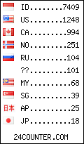 visitors by country counter