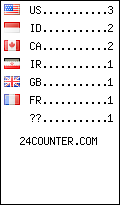 visitors by country counter