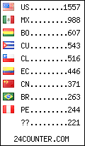 Website Audience by Country