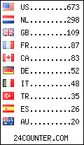 Website Audience by Country