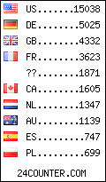 Website Audience by Country