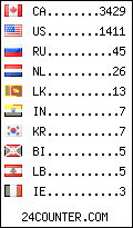 Website Audience by Country