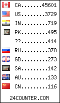 Website Audience by Country