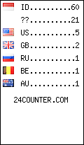 Website Audience by Country
