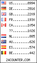 Website Audience by Country